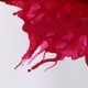 CRIMSON
